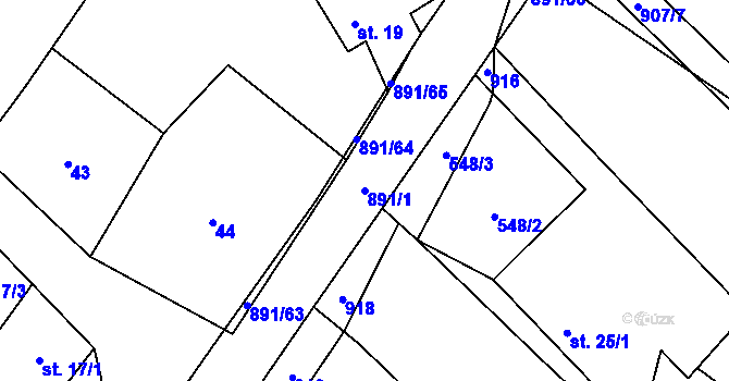 Parcela st. 891/1 v KÚ Milešín, Katastrální mapa