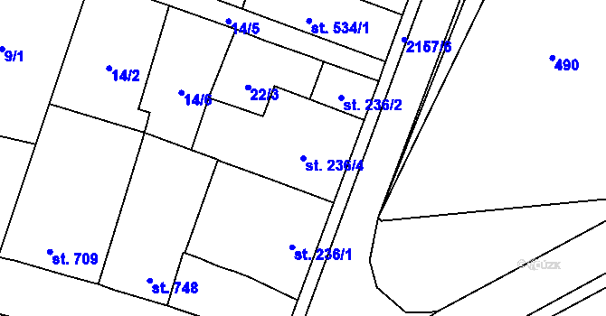 Parcela st. 236/4 v KÚ Heřmanův Městec, Katastrální mapa
