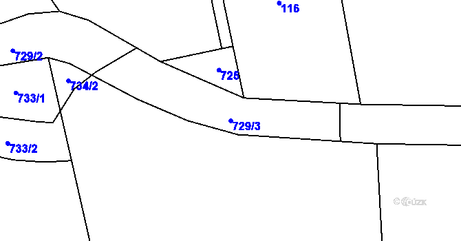 Parcela st. 729/3 v KÚ Rašovice u Hlasiva, Katastrální mapa