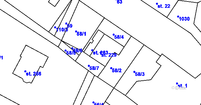 Parcela st. 229 v KÚ Hrubý Lesnov, Katastrální mapa