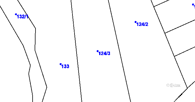 Parcela st. 124/3 v KÚ Pích, Katastrální mapa