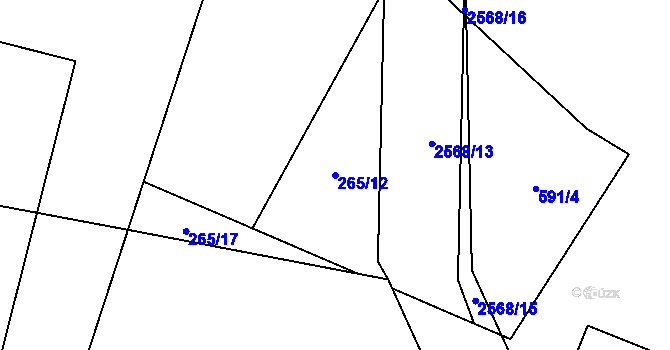 Parcela st. 265/12 v KÚ Hlinsko v Čechách, Katastrální mapa