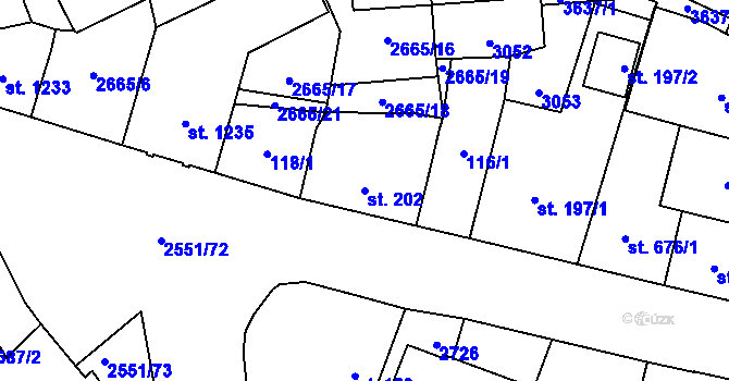 Parcela st. 202 v KÚ Hlinsko v Čechách, Katastrální mapa