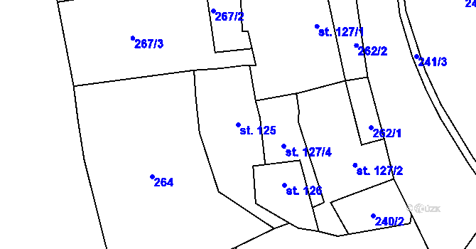 Parcela st. 125 v KÚ Hluboká nad Vltavou, Katastrální mapa
