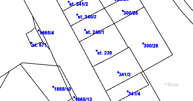 Parcela st. 239 v KÚ Hluboká nad Vltavou, Katastrální mapa