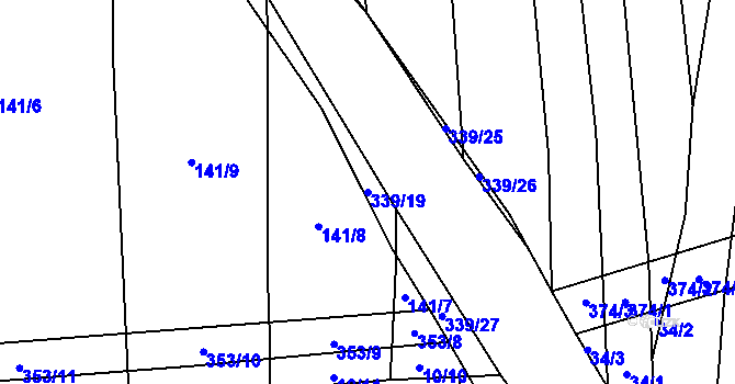 Parcela st. 339/19 v KÚ Munice, Katastrální mapa