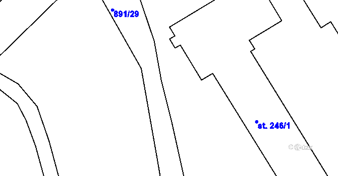Parcela st. 891/80 v KÚ Hluboké Mašůvky, Katastrální mapa