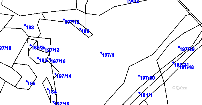 Parcela st. 197/1 v KÚ Hluboké u Kunštátu, Katastrální mapa