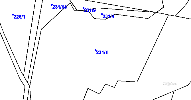 Parcela st. 231/1 v KÚ Hluboké u Kunštátu, Katastrální mapa