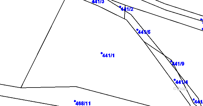 Parcela st. 441/1 v KÚ Hluboké u Kunštátu, Katastrální mapa