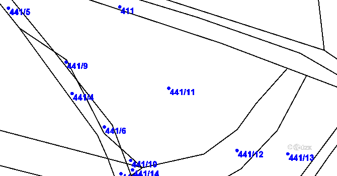 Parcela st. 441/11 v KÚ Hluboké u Kunštátu, Katastrální mapa
