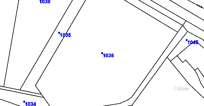 Parcela st. 1036 v KÚ Hluchov, Katastrální mapa