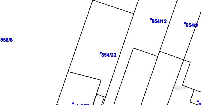 Parcela st. 554/22 v KÚ Hlušičky, Katastrální mapa
