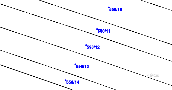 Parcela st. 558/12 v KÚ Hlušičky, Katastrální mapa