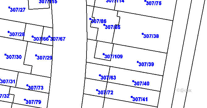 Parcela st. 307/109 v KÚ Hlušovice, Katastrální mapa