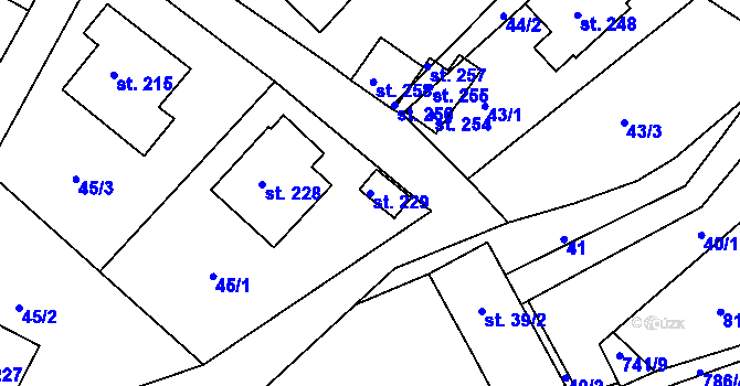 Parcela st. 229 v KÚ Hněvkovice u Humpolce, Katastrální mapa