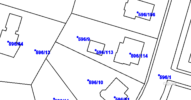 Parcela st. 596/113 v KÚ Hodonice, Katastrální mapa