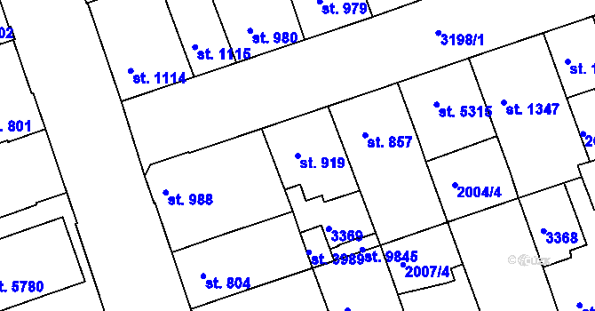 Parcela st. 919 v KÚ Hodonín, Katastrální mapa