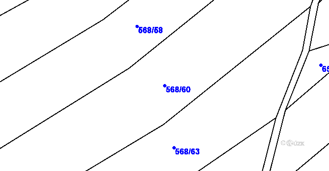 Parcela st. 568/60 v KÚ Hodov, Katastrální mapa