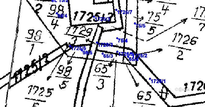 Parcela st. 65/3 v KÚ Hojsova Stráž, Katastrální mapa