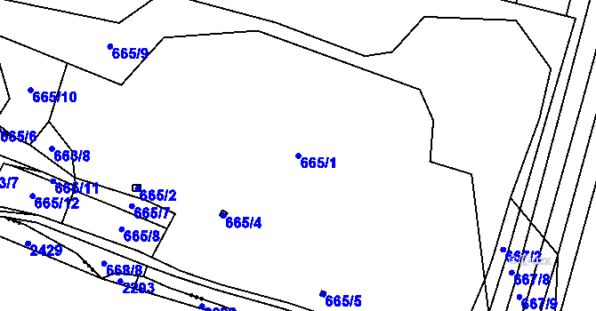 Parcela st. 665/1 v KÚ Holasice, Katastrální mapa