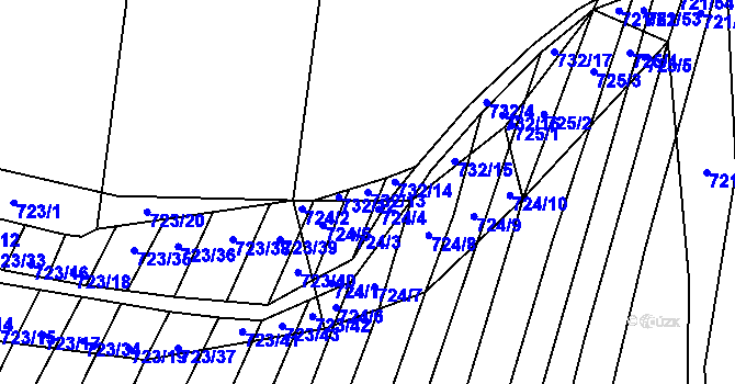 Parcela st. 732/13 v KÚ Holasice, Katastrální mapa