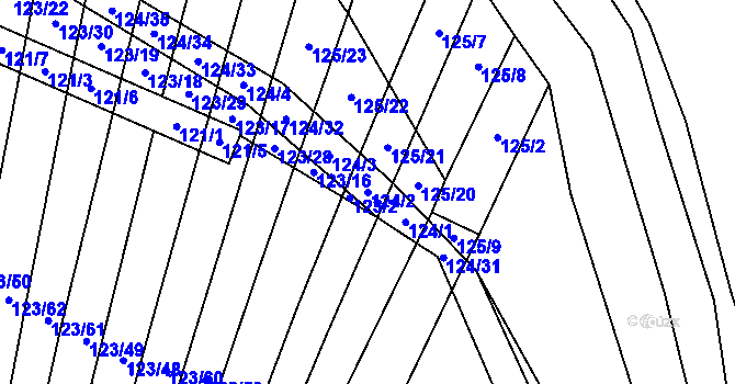 Parcela st. 124/2 v KÚ Holasice, Katastrální mapa