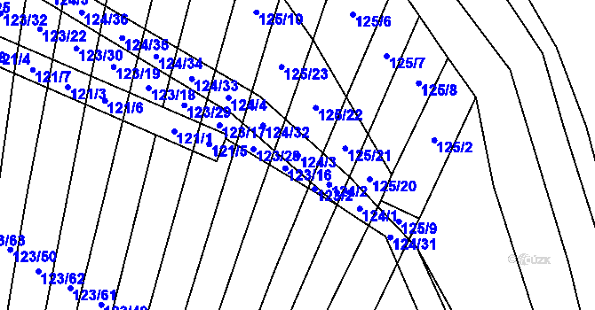 Parcela st. 124/3 v KÚ Holasice, Katastrální mapa