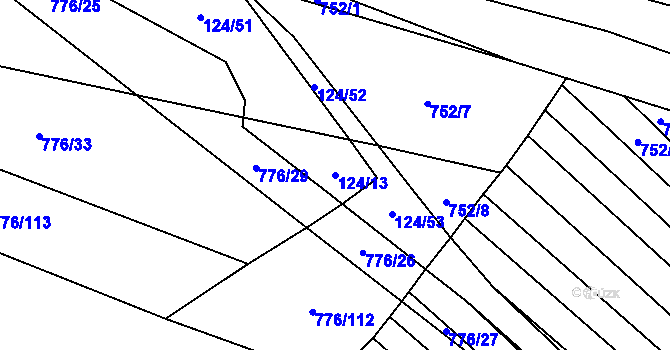 Parcela st. 124/13 v KÚ Holasice, Katastrální mapa