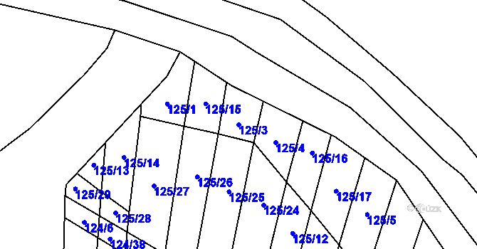 Parcela st. 125/3 v KÚ Holasice, Katastrální mapa