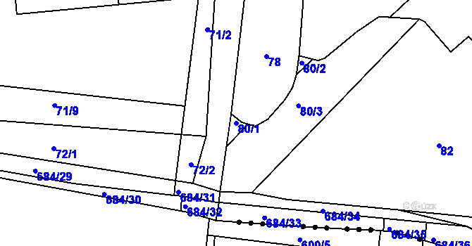 Parcela st. 80/1 v KÚ Holasovice, Katastrální mapa