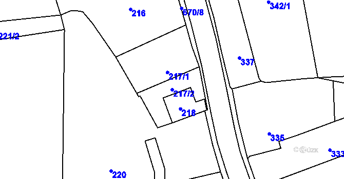 Parcela st. 217/2 v KÚ Holasovice, Katastrální mapa