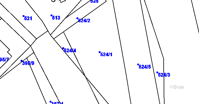 Parcela st. 524/1 v KÚ Holasovice, Katastrální mapa