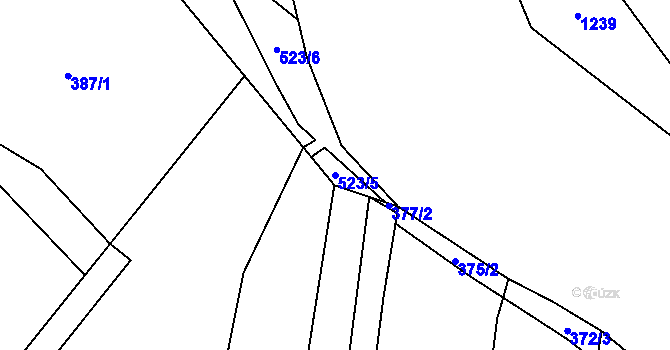 Parcela st. 523/5 v KÚ Holasovice, Katastrální mapa