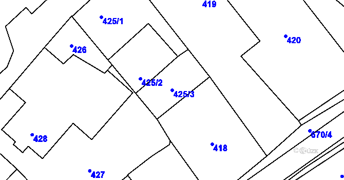 Parcela st. 425/3 v KÚ Holasovice, Katastrální mapa