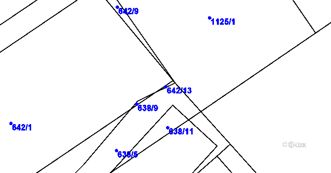 Parcela st. 642/13 v KÚ Holasovice, Katastrální mapa