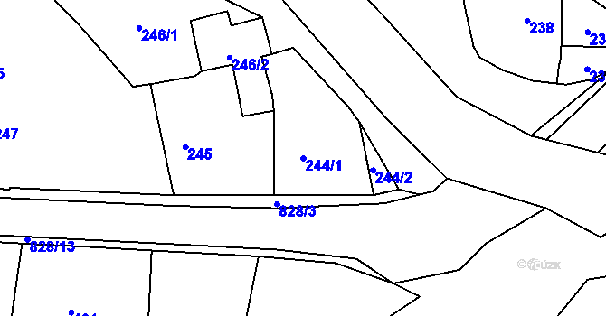 Parcela st. 244/1 v KÚ Neplachovice, Katastrální mapa