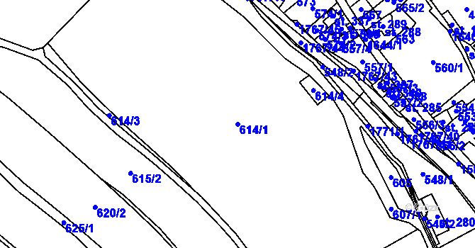 Parcela st. 614/1 v KÚ Holčovice, Katastrální mapa