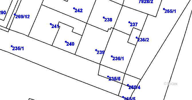 Parcela st. 239 v KÚ Holice v Čechách, Katastrální mapa