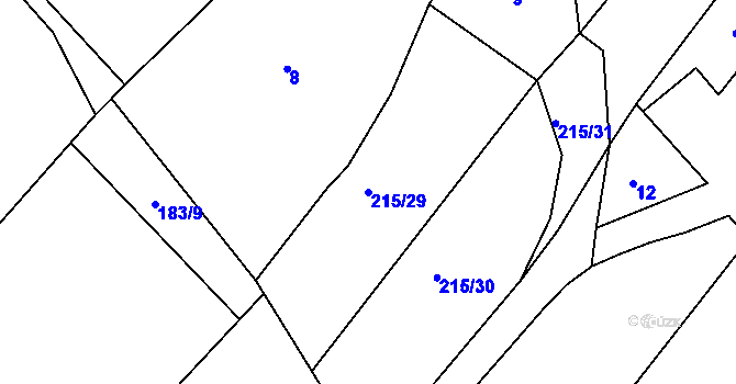 Parcela st. 215/29 v KÚ Těškov, Katastrální mapa