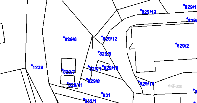 Parcela st. 829/9 v KÚ Holubov, Katastrální mapa