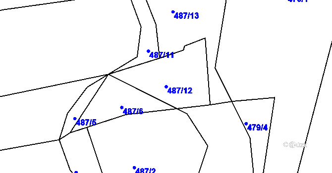 Parcela st. 487/12 v KÚ Holubov, Katastrální mapa