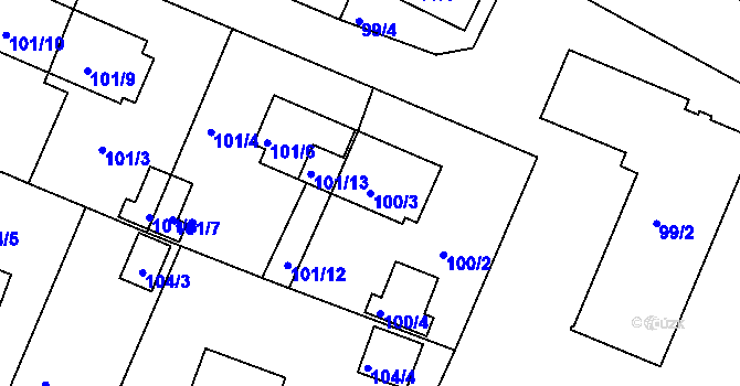 Parcela st. 100/3 v KÚ Holubov, Katastrální mapa