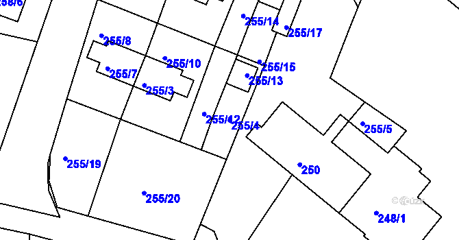 Parcela st. 255/4 v KÚ Holubov, Katastrální mapa