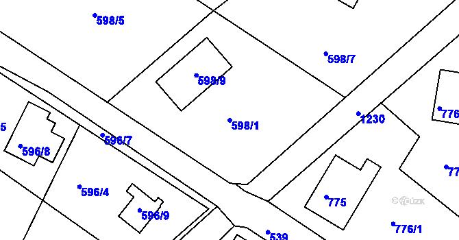 Parcela st. 598/1 v KÚ Holubov, Katastrální mapa