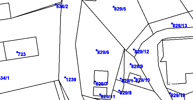 Parcela st. 829/6 v KÚ Holubov, Katastrální mapa