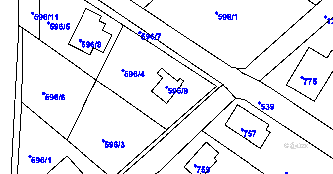 Parcela st. 596/9 v KÚ Holubov, Katastrální mapa