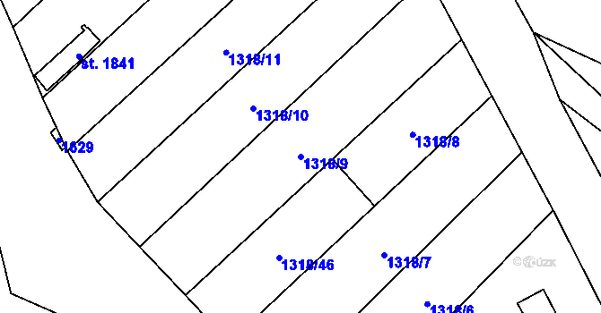 Parcela st. 1318/9 v KÚ Holýšov, Katastrální mapa