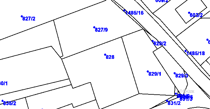 Parcela st. 828 v KÚ Homole, Katastrální mapa