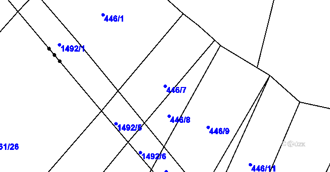 Parcela st. 446/7 v KÚ Homole, Katastrální mapa